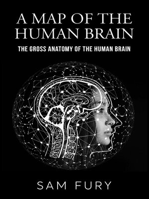 cover image of A Map of the Human Brain